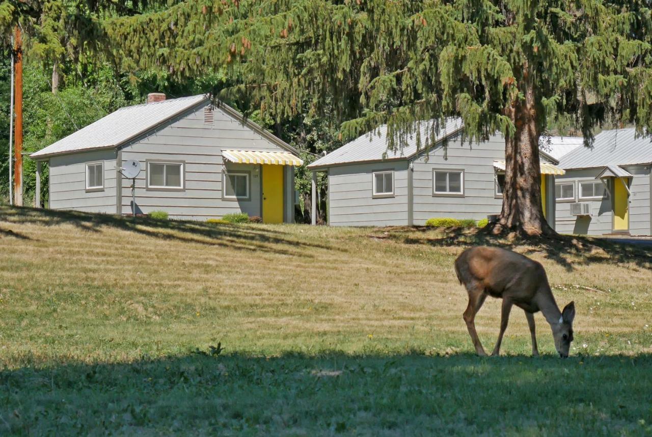 Idle A While Cabins Twisp Bagian luar foto